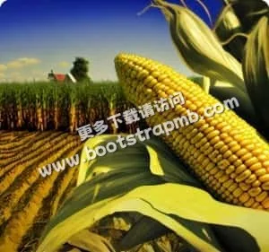 Taking care of the Earth one field at a time - 江南体育