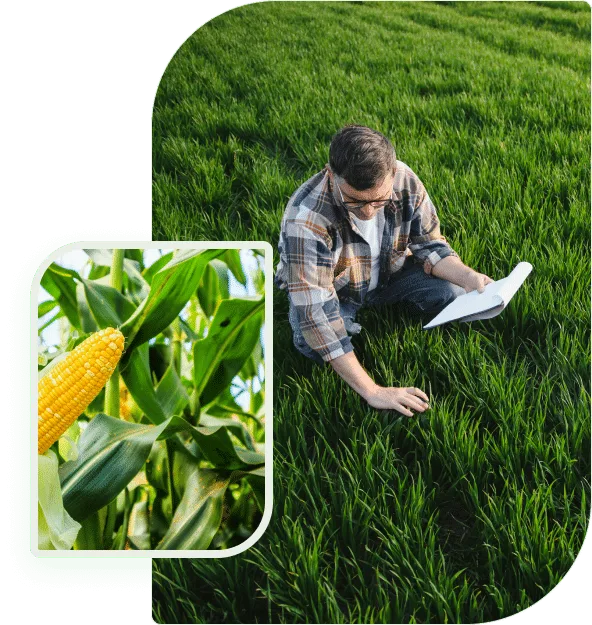 Growing strong feeding farming futures - 江南体育